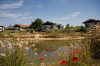 Ferienhaus in den Dünen auf der Insel Texel. Objekt Nr. 731215.